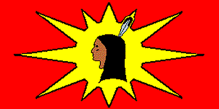 Warriors flag