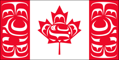 Indigenous flag